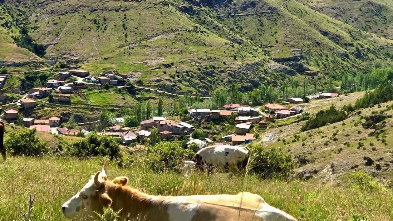 Kırsal dezavantajlı alanlara yönelik çalışmalar sürüyor