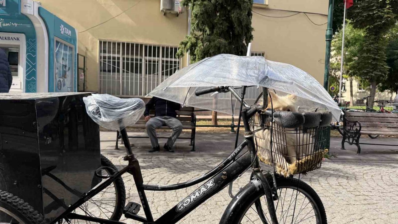 Bisiklet sepetindeki köpeğini yağmurdan şemsiye ile korudu