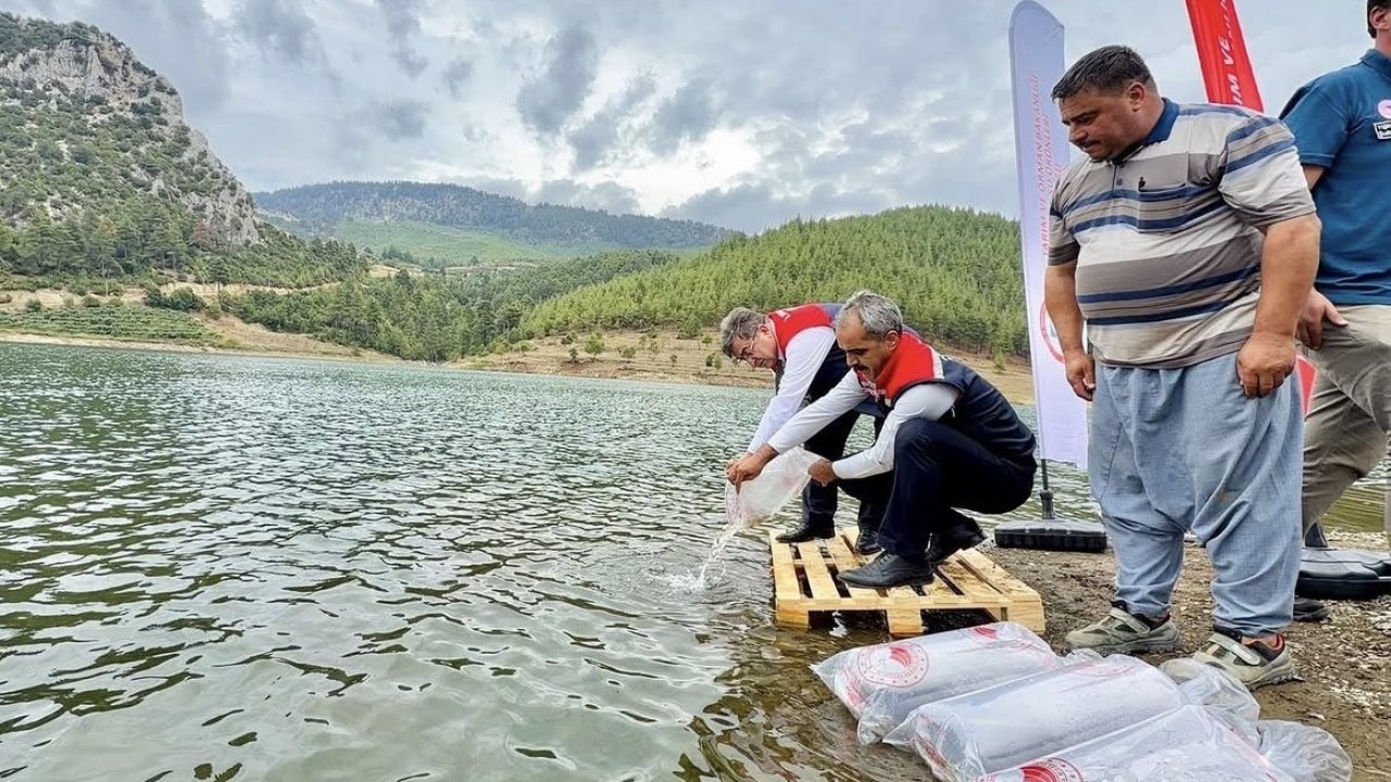 Mersin’de 17 göl ve gölete 347 bin yavru sazan bırakıldı