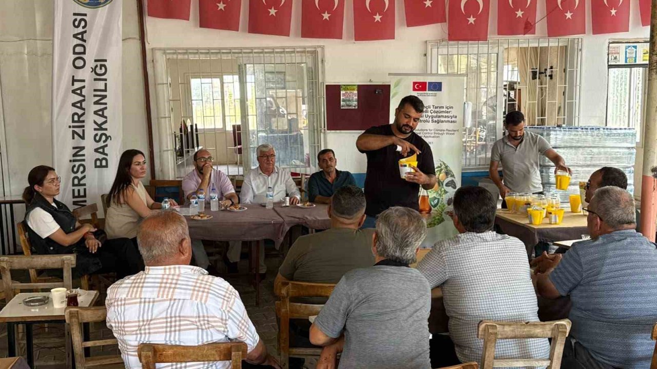 Mersin’de çiftçilere Akdeniz meyve sineğiyle mücadele eğitimi