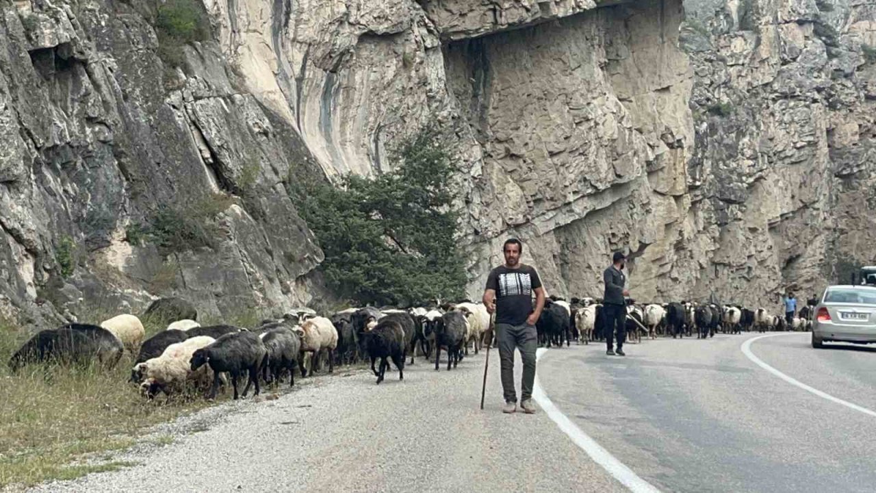 Artvin’de yaylalardan dönüş başladı