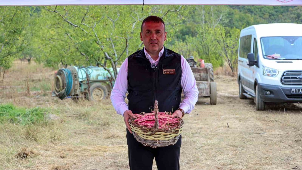 Bilecik’te her yıl 4 bin 500 ton taze barbunya hasadı yapılıyor