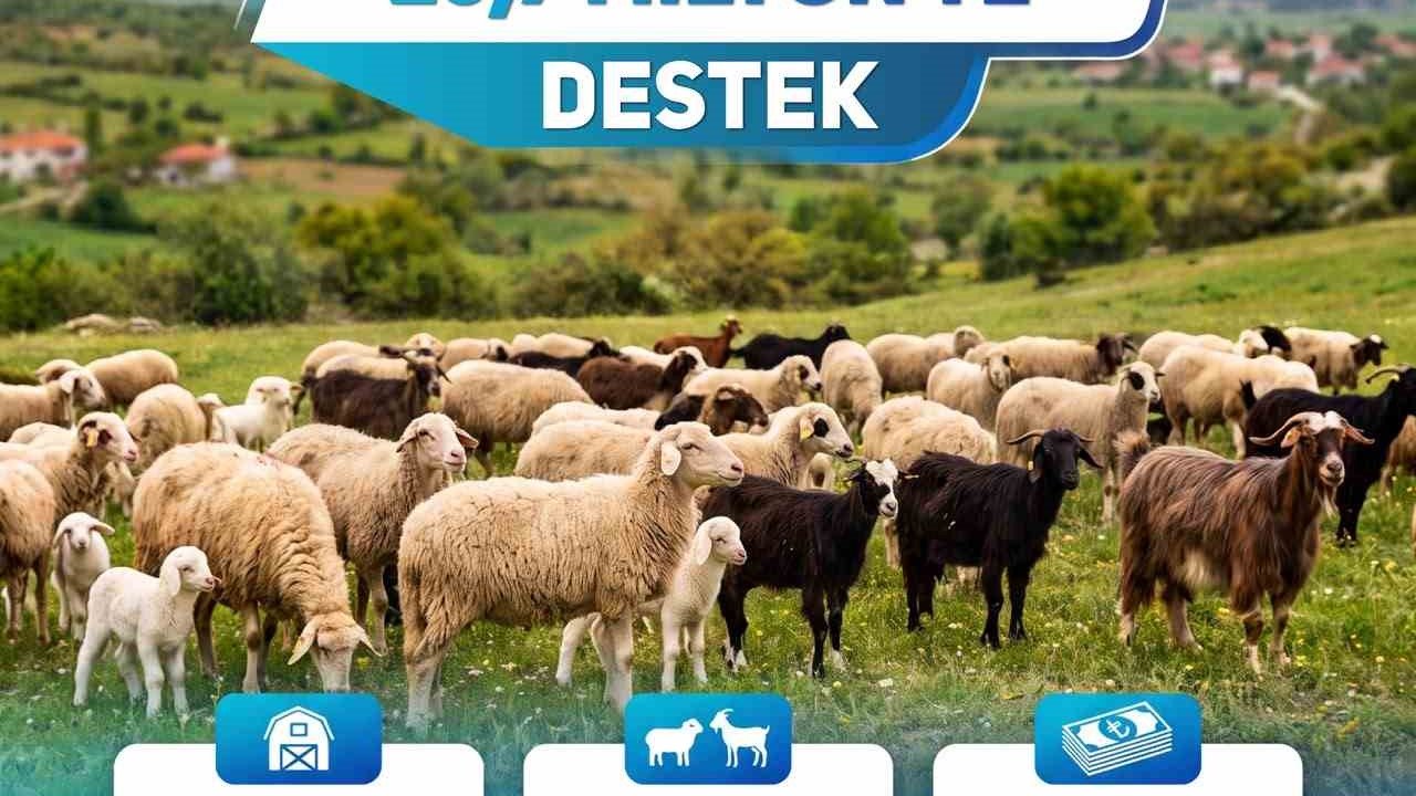Küçükbaş üreticisine 25,7 milyon liralık can suyu