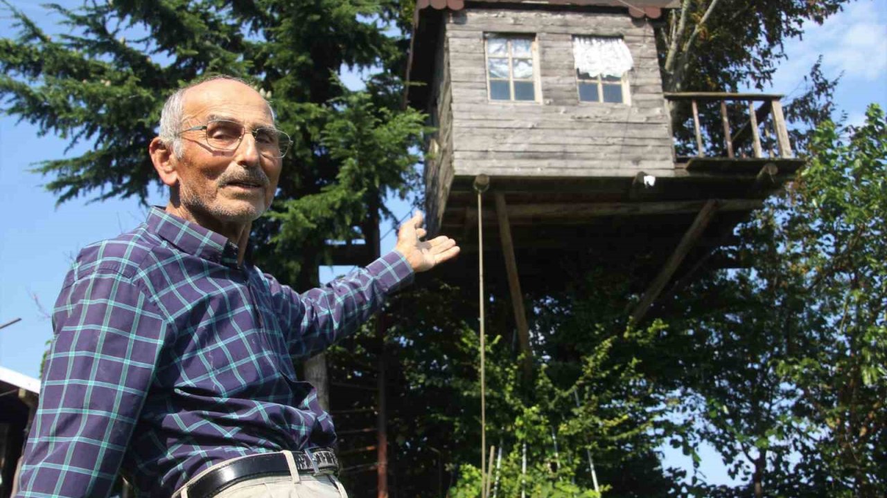 Torunu istedi, dedesi yaptı: 90 yıllık meşe ağacının tepesine ev kurdu