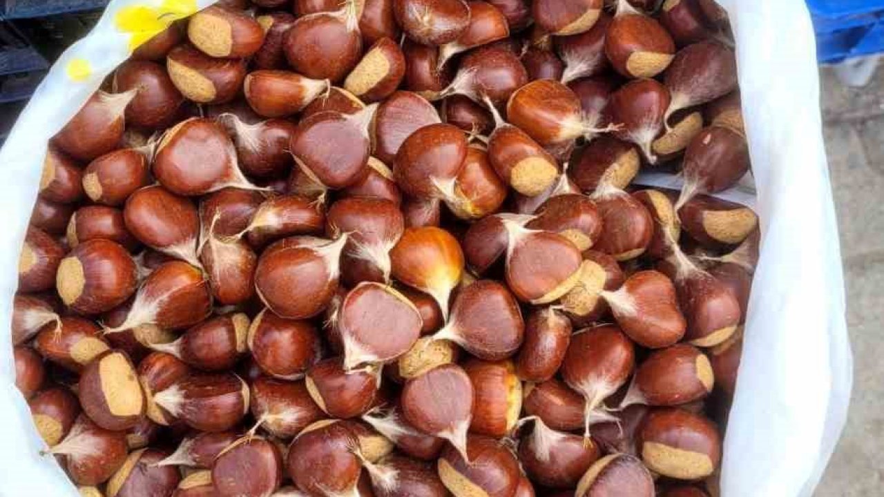 İnebolu’da kestane pazara indi: Kilogramı 400 liradan satılıyor
