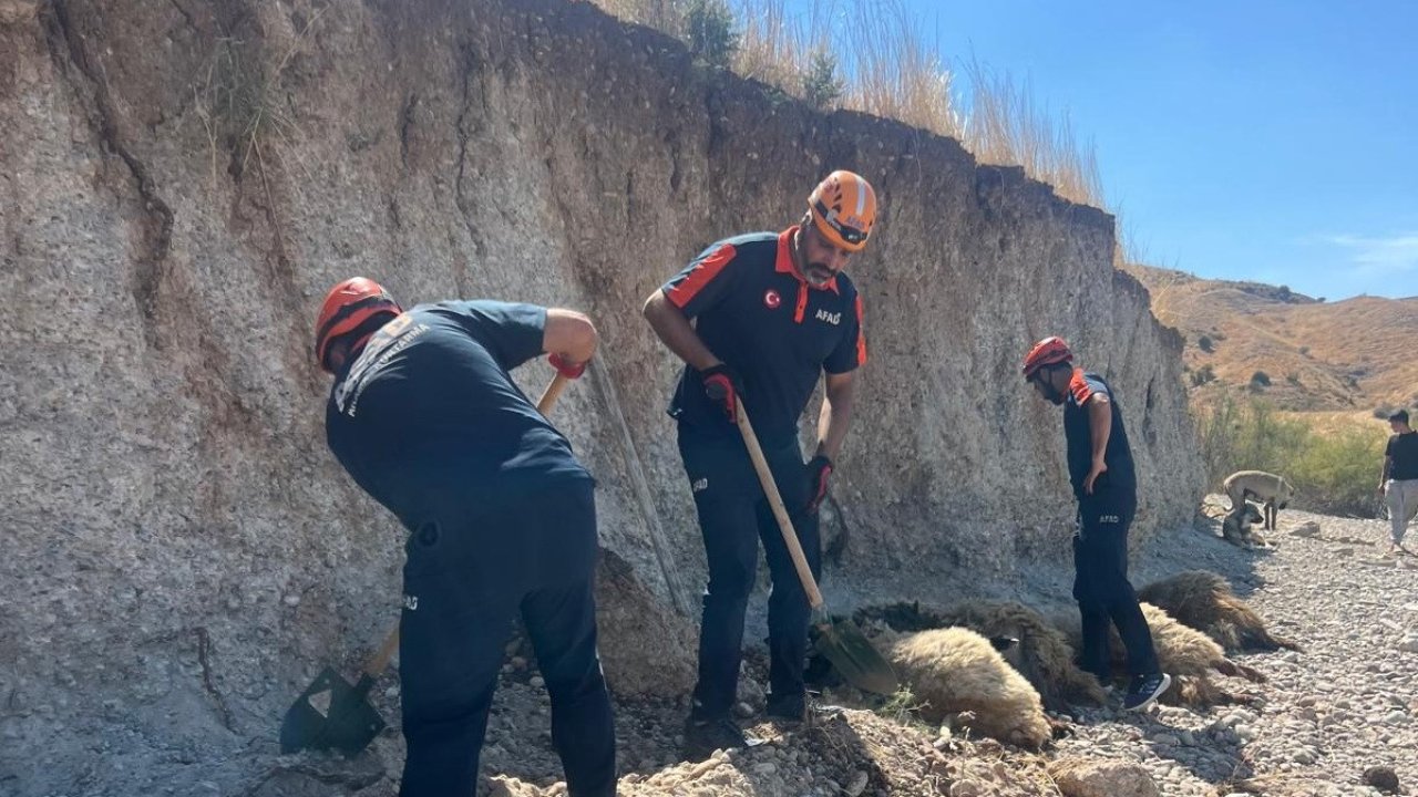 Toprak kaymasında 6 küçükbaş hayvan telef oldu
