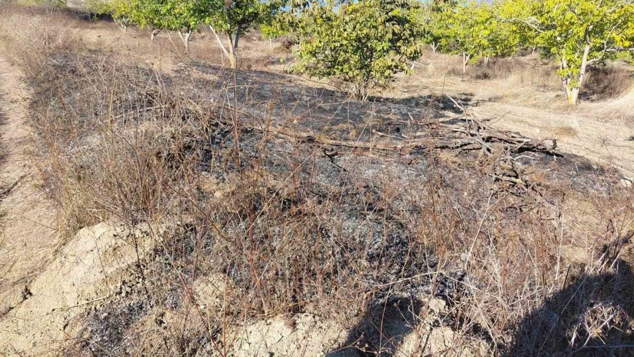 Bilecik’te ceviz bahçesinde çıkan yangın söndürüldü
