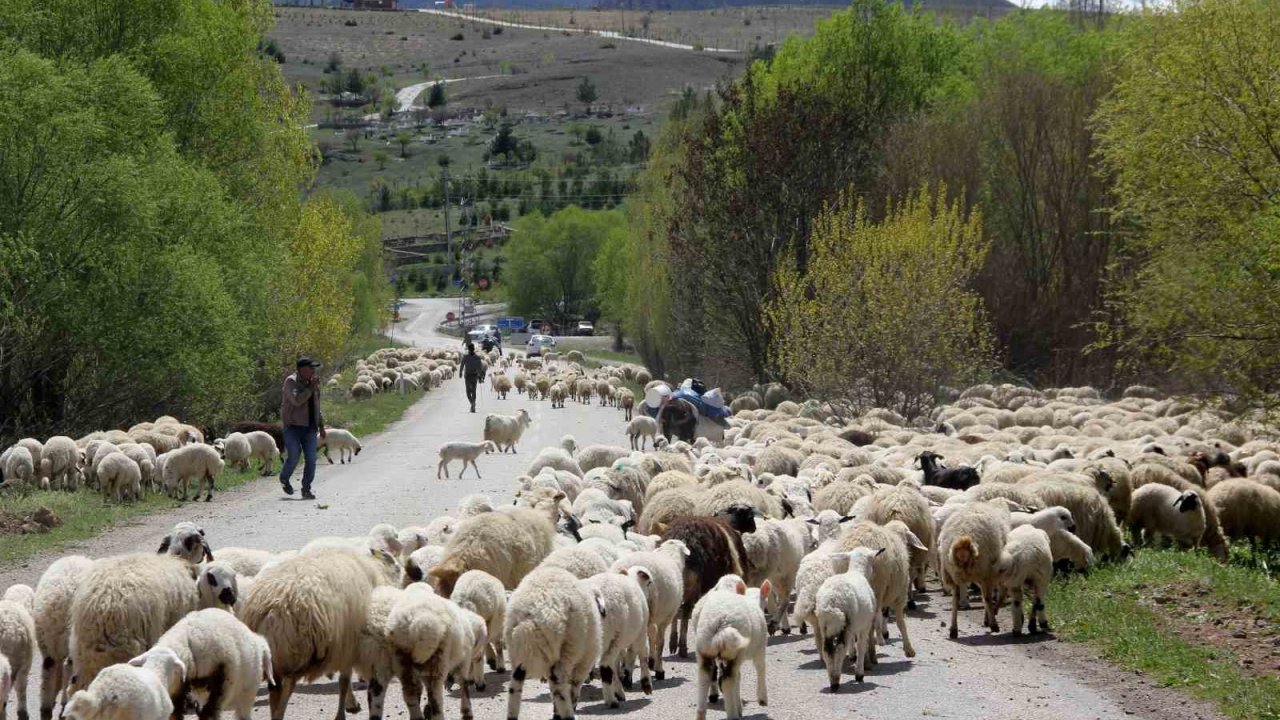 Erzincan’da yaylacılar, 5 aylık sezonun ardından dönüş yolculuğuna başladı