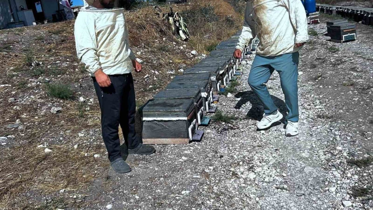 Arıcılığın geliştirilmesi için saha çalışmaları sürüyor
