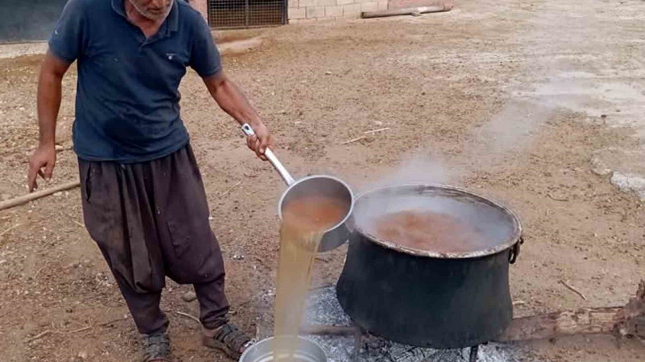 Araban’da gün pekmezi yapımına başlandı