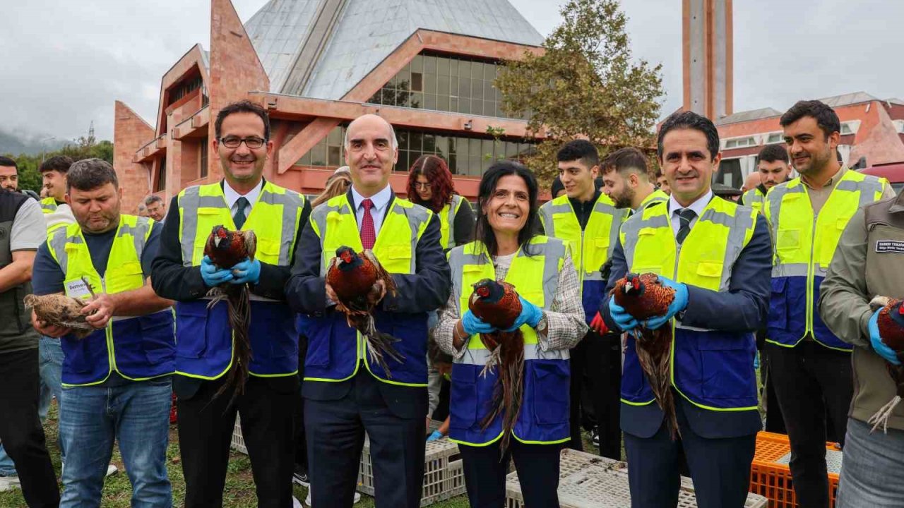Kampüste 200 sülün doğayla buluştu