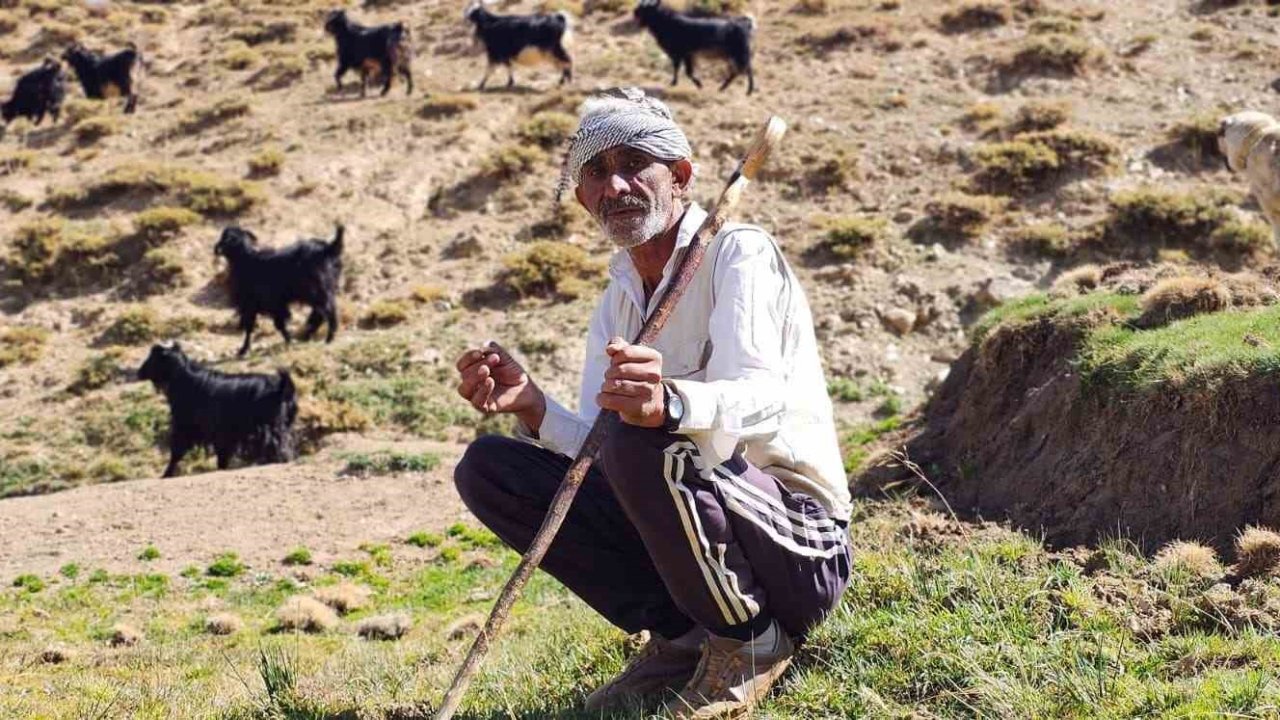 Bursa’dan köyüne döndü, hayvancılıkla geçimini sağlıyor
