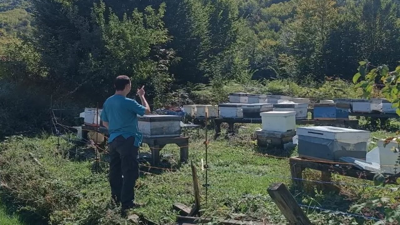 Yığılca’da arılı kovan sayımı yapıldı
