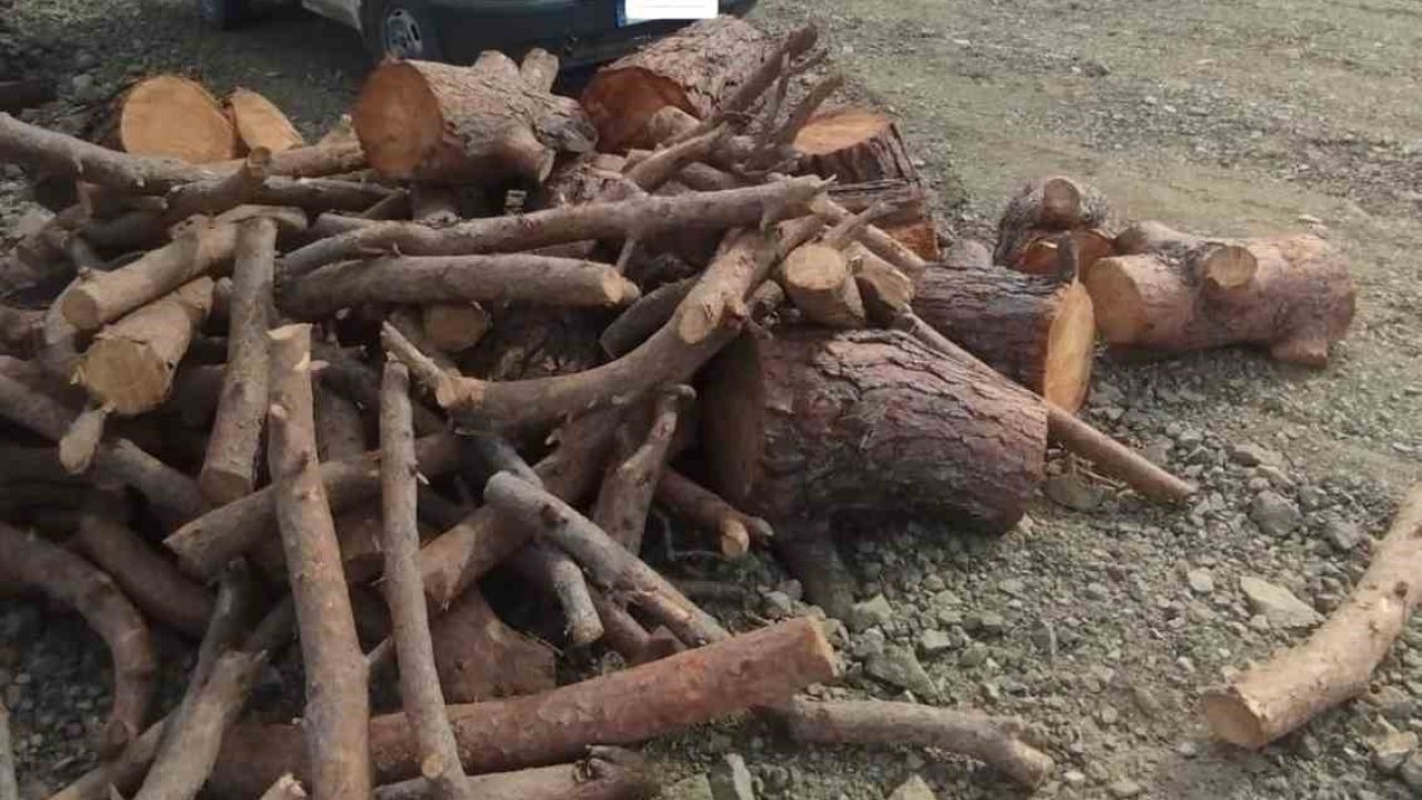 Kahramanmaraş’ta kaçak orman emvali