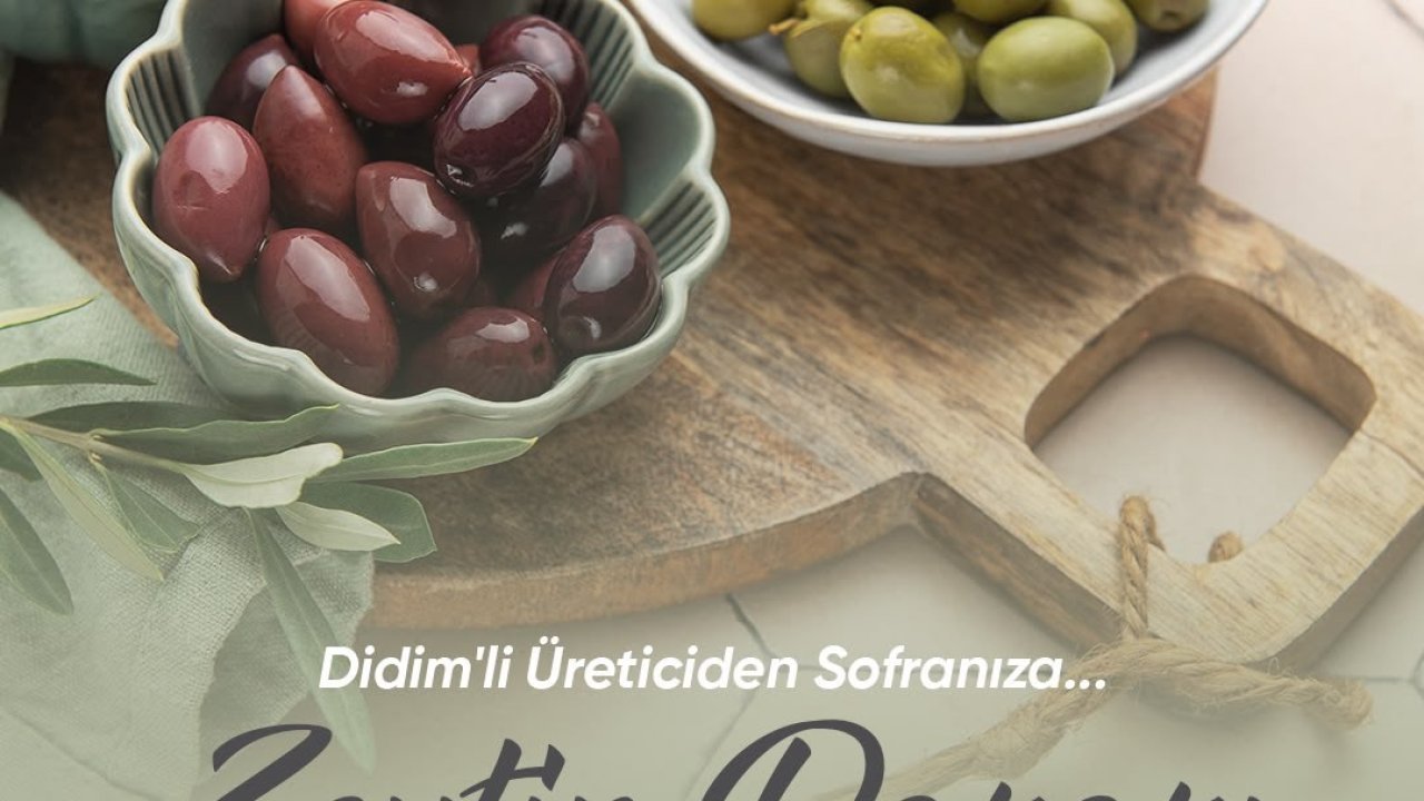 Didim Belediye Başkanı Gençay: "Zeytin üreticilerimiz için yeni bir satış alanı oluşturuyoruz"