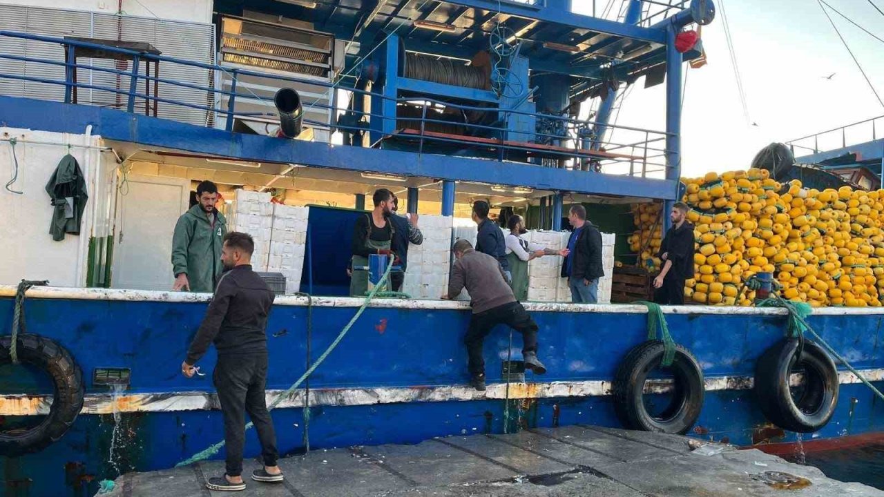 Didim’de hamsi kotası denetimleri sürüyor