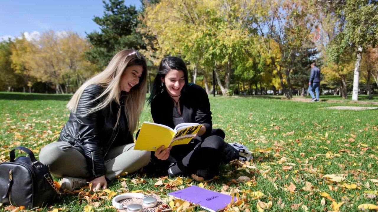 Üniversite öğrencilerinin ağaç algısı bambaşka