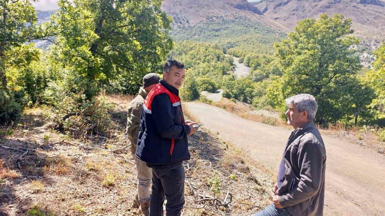 Kaybolan 9 büyükbaş hayvan dron ile bulundu