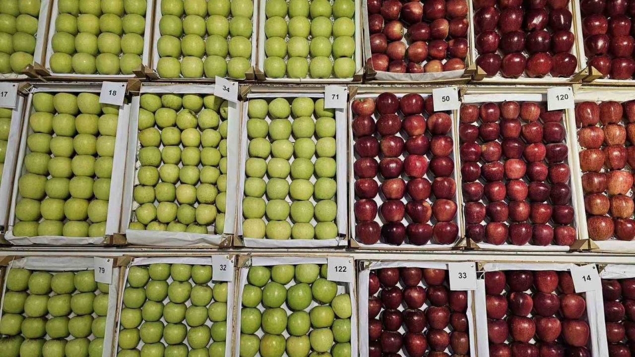 Gölcük’te en lezzetli elma ve armutlar vitrine çıktı