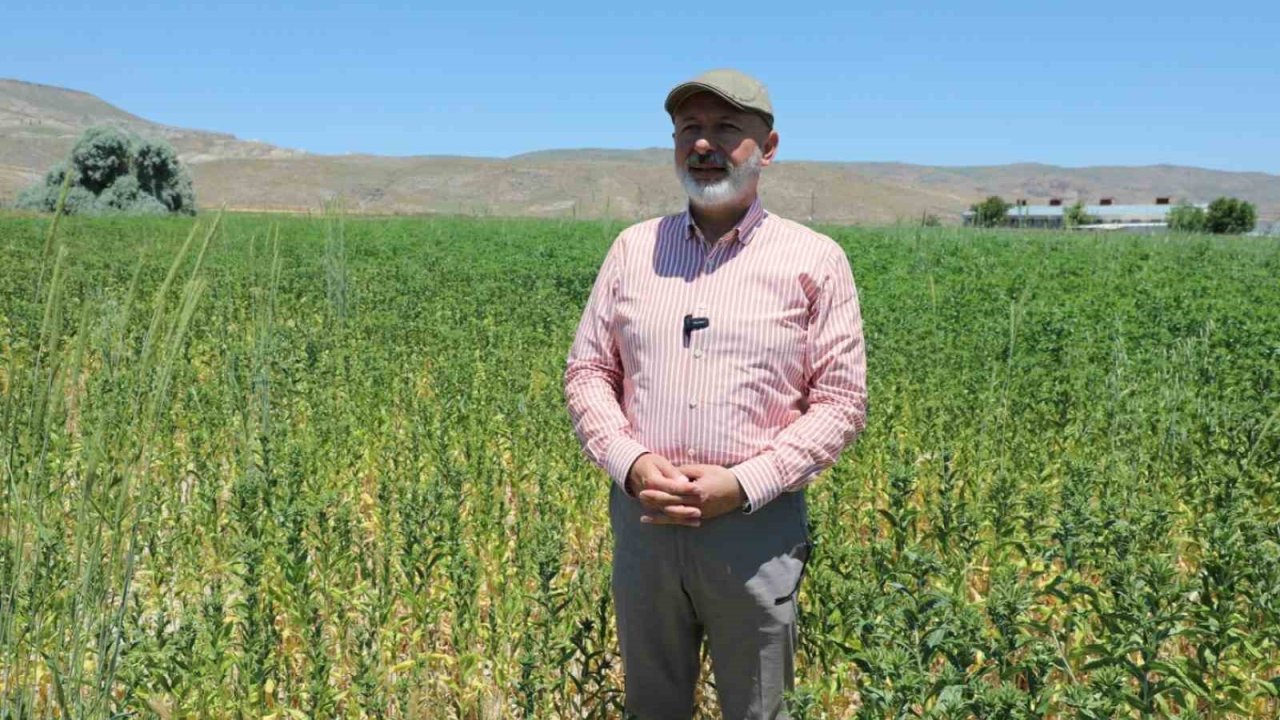 Başkan Çolakbayrakdar: "Ekiyoruz, üretiyoruz, hasat ediyoruz ve ailelerimizle paylaşıyoruz"