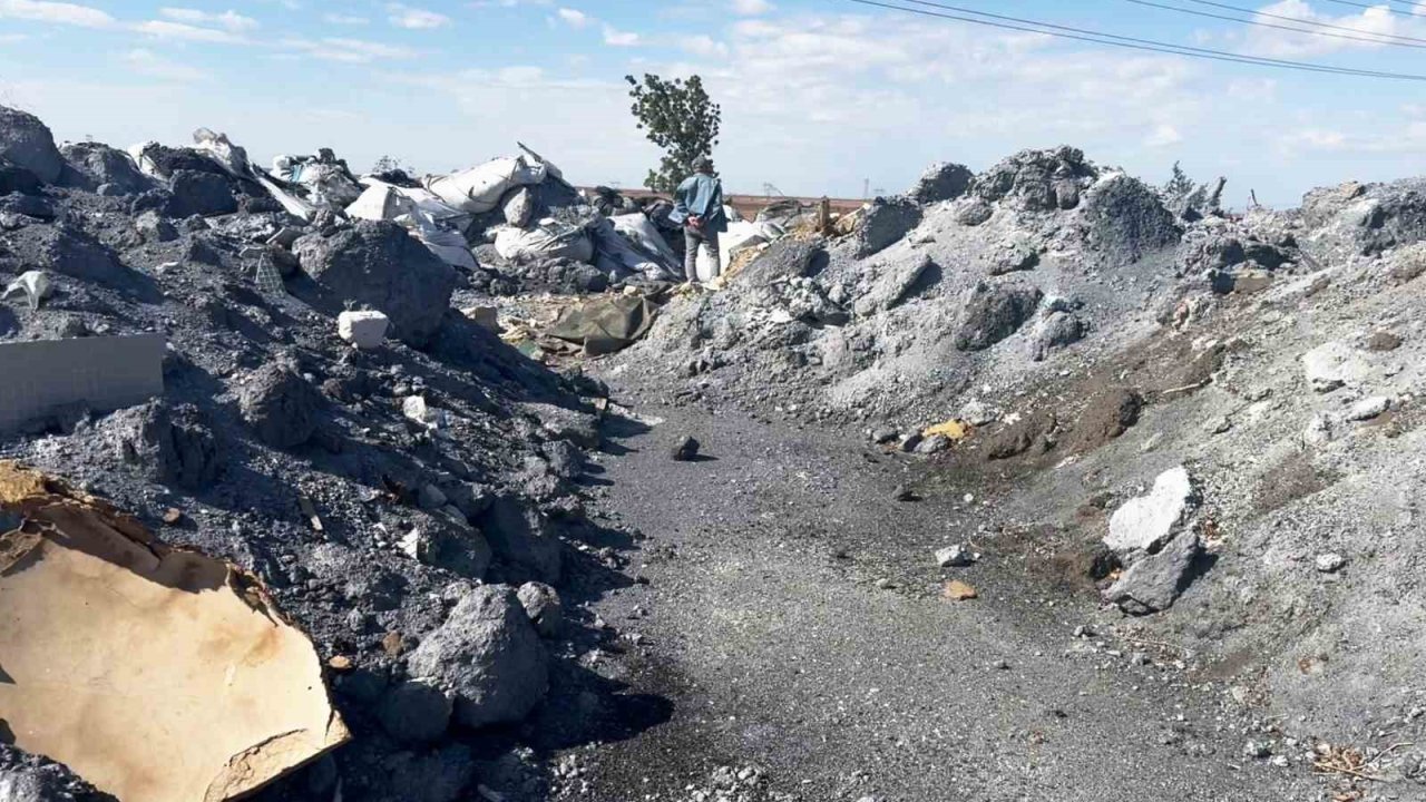 Tekirdağ’da çevre katliamı büyüyor