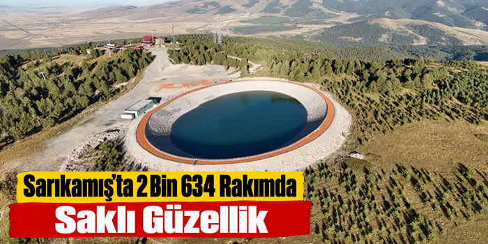 Kars’ta 2 bin 634 rakımda saklı güzellik: Sarıçamların arasında görenleri etkiliyor