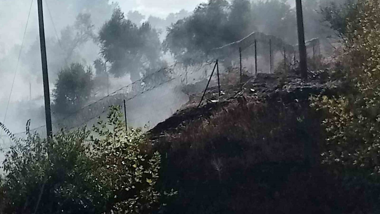 Milas-Söke karayolu üzerindeki yangın büyümeden söndürüldü