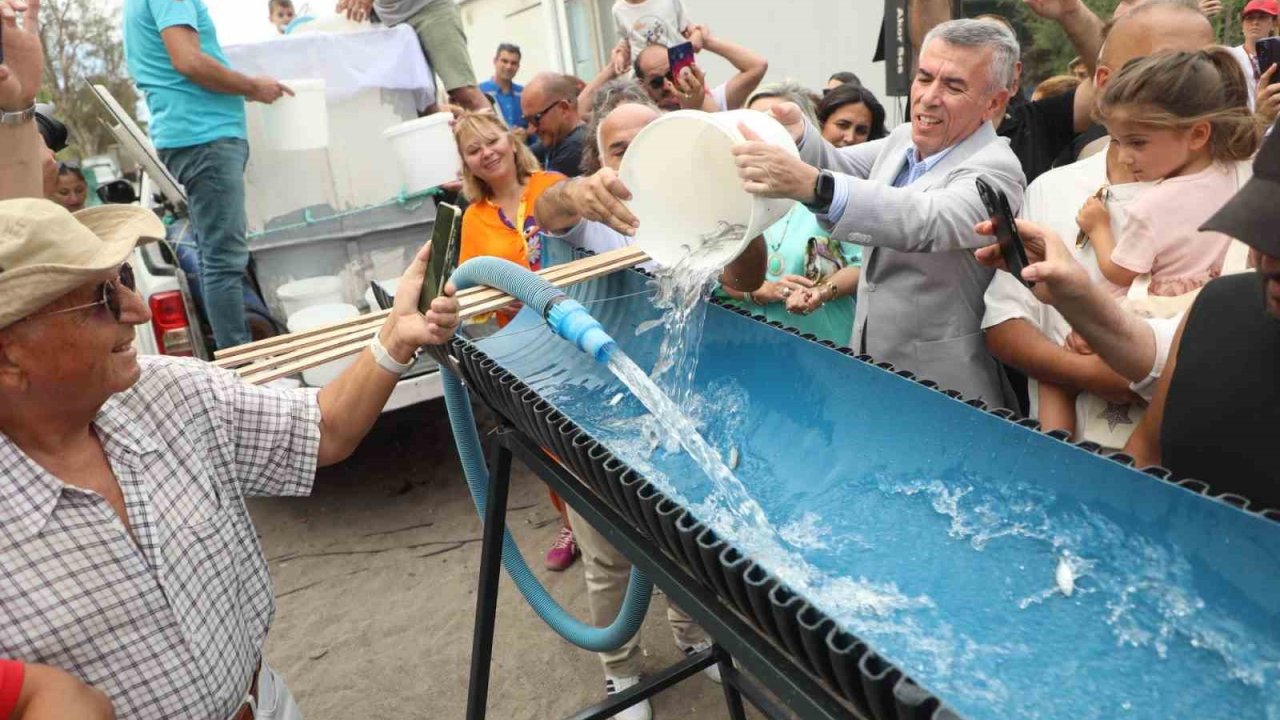 Bodrum’da balık festivali için geri sayım başladı