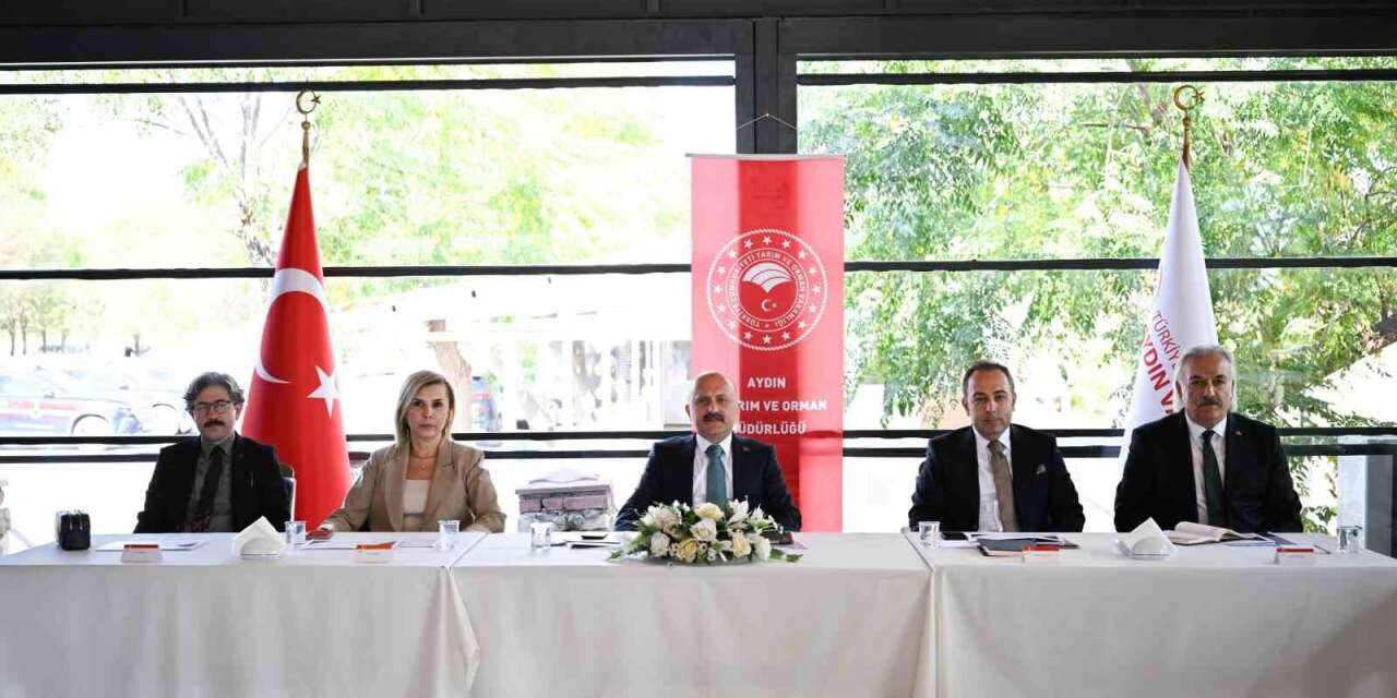 Aydın, su ürünleri yetiştiriciliğinde Türkiye’nin üçüncü sırasında