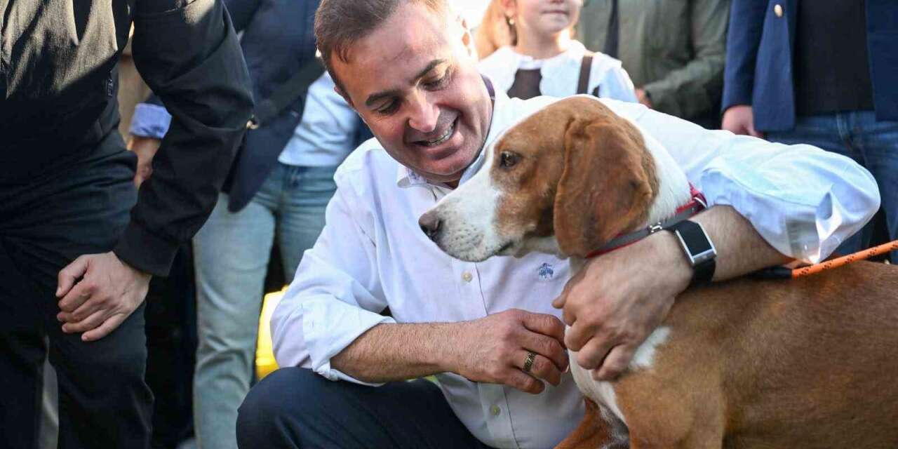 Balıkesir can dostlara sahip çıkıyor