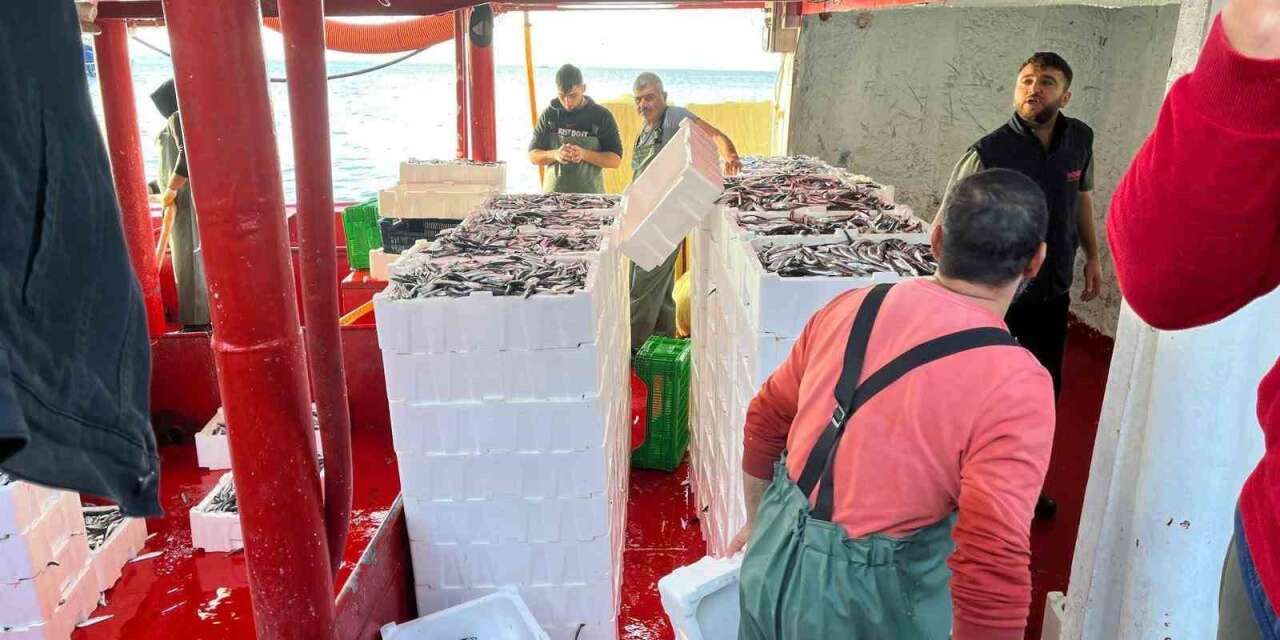 Didim’de ‘Hamsi Kotası’ denetimi yapıldı