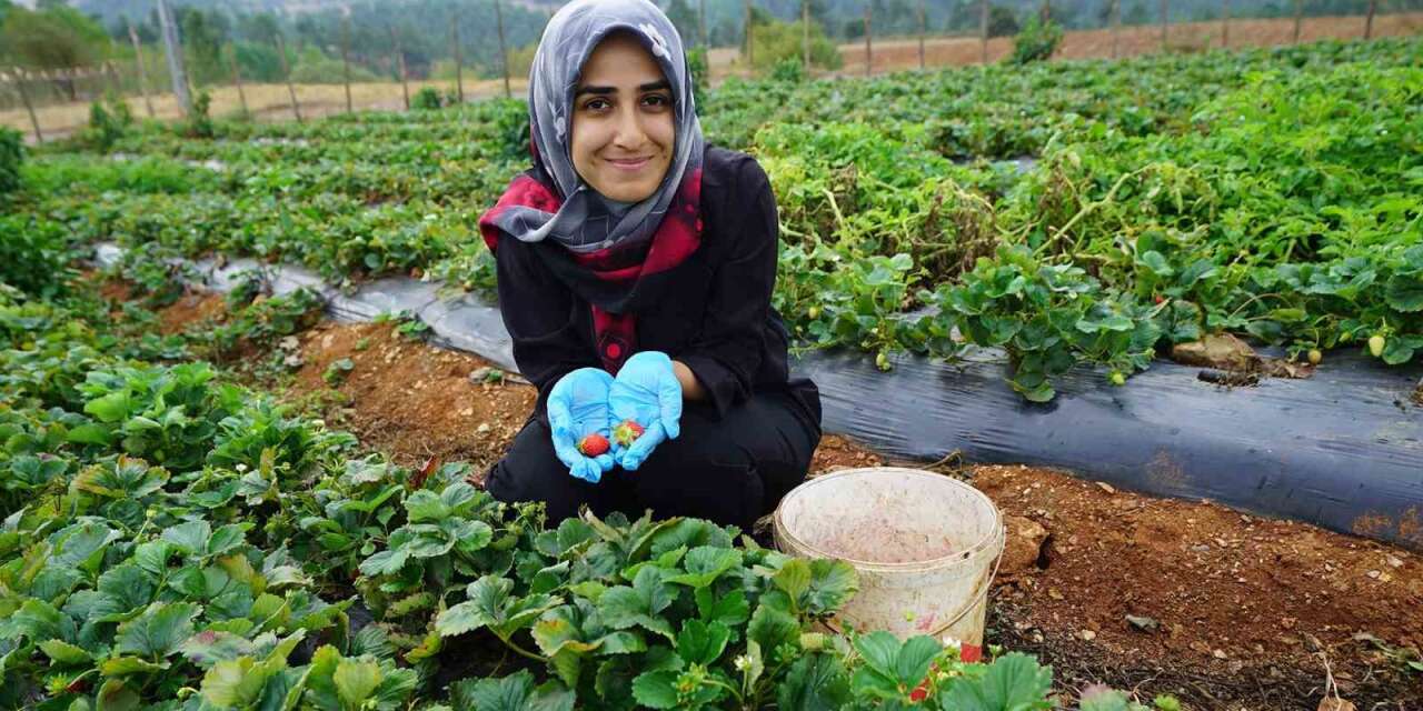 Kadınların emeği Kahraman Kadın Platformu’yla geniş kitlelere ulaşıyor