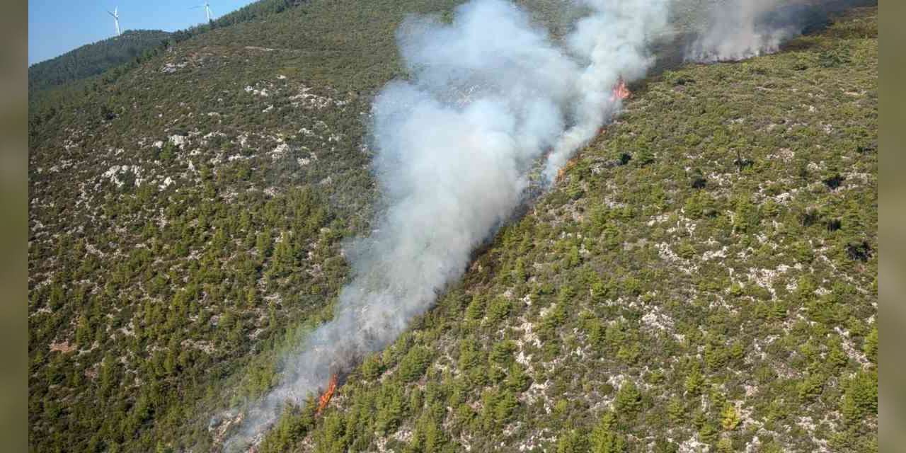 Bodrum’da orman yangını çıktı