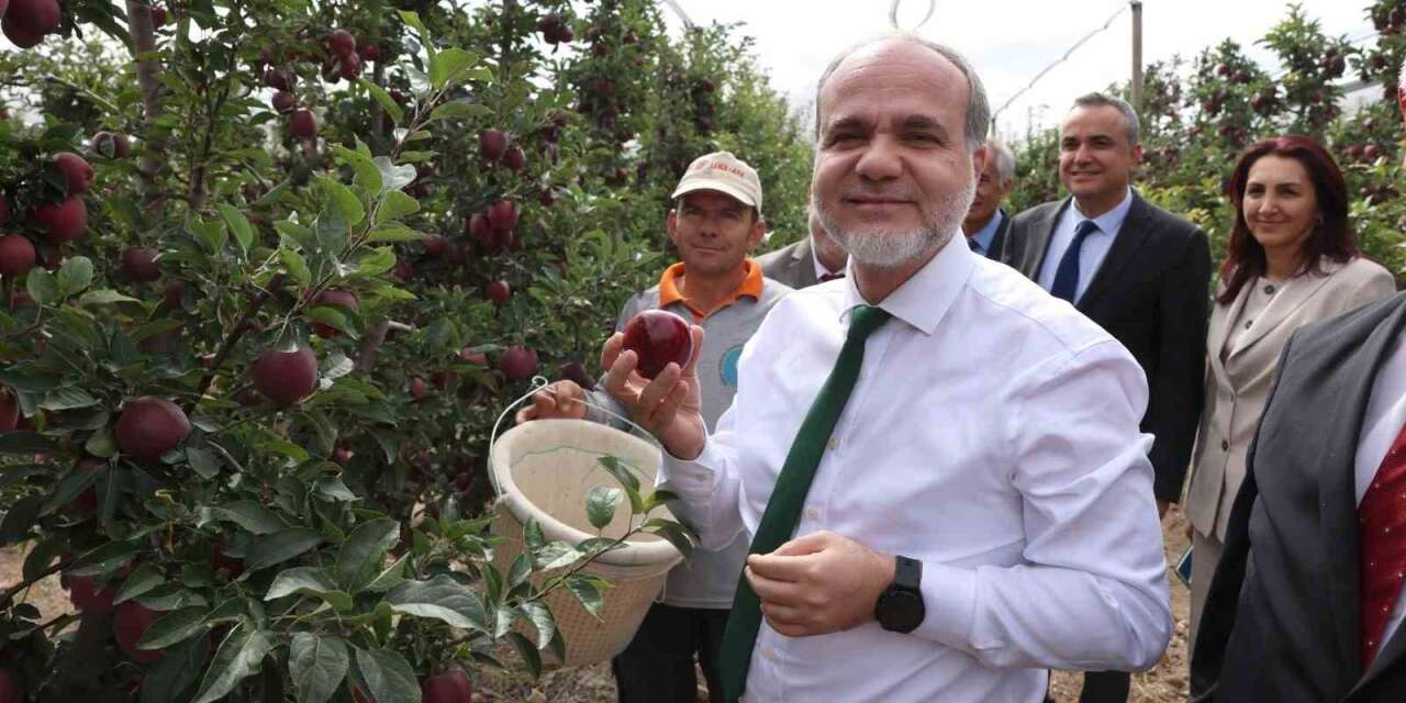 NÖHÜ’de 200 tonun üzerinde elma rekoltesi