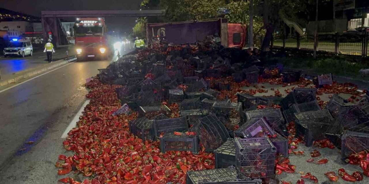 Devrilen kamyondaki 10 ton kapya biber yola saçıldı: 2 yaralı