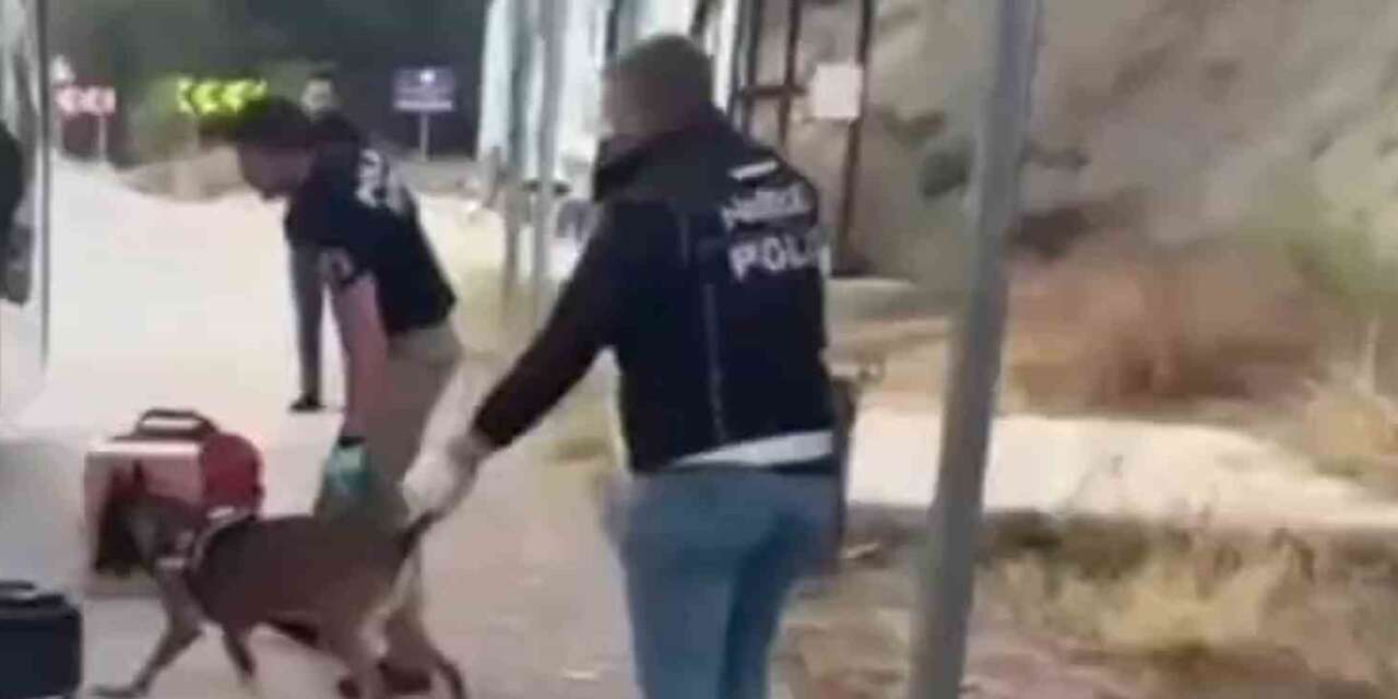 Sinop uyuşturucu operasyonu: 3 tutuklama