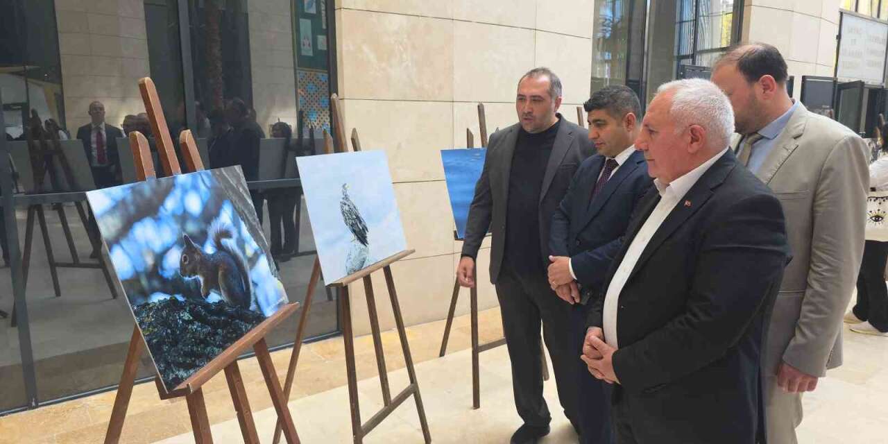 Kütahya’nın yaban hayatı fotoğraflarla gözler önüne seriliyor