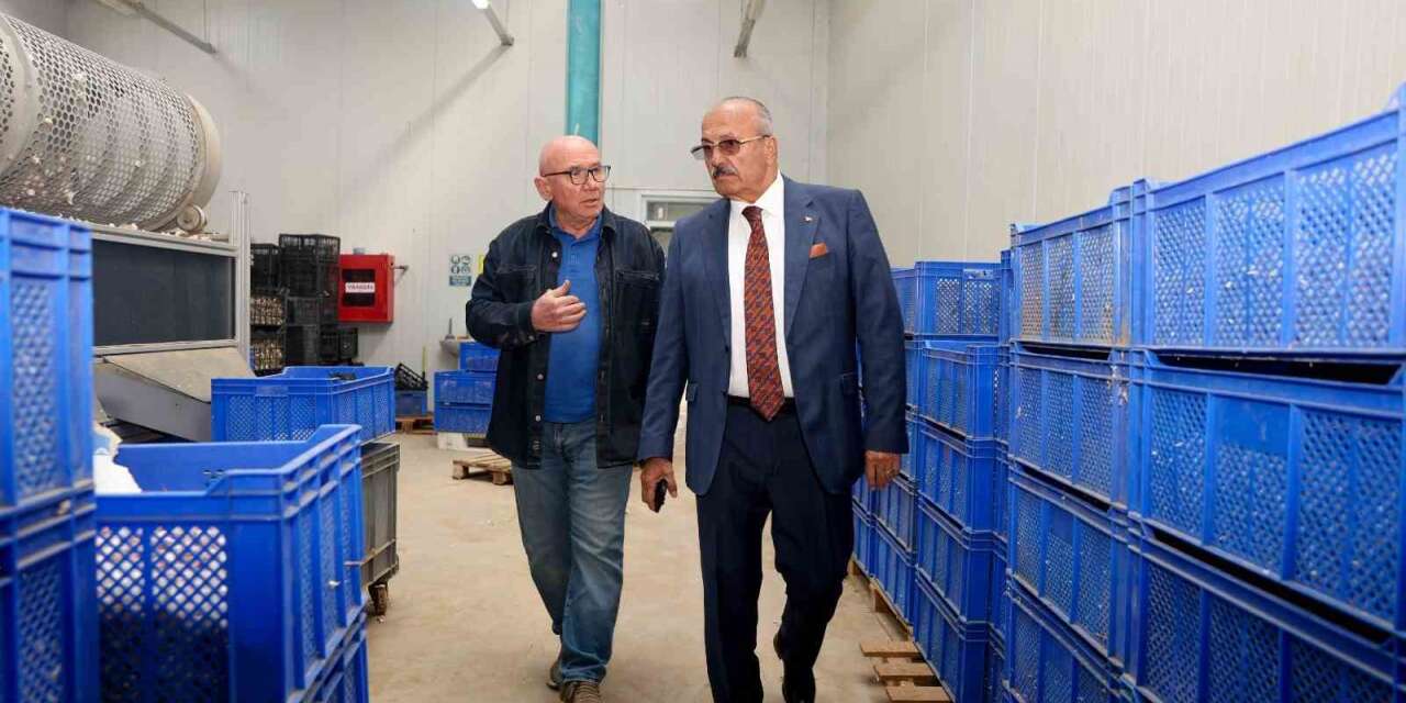 Başkan Arslan, Taşköprü OSB’deki fabrikaları ziyaret etti