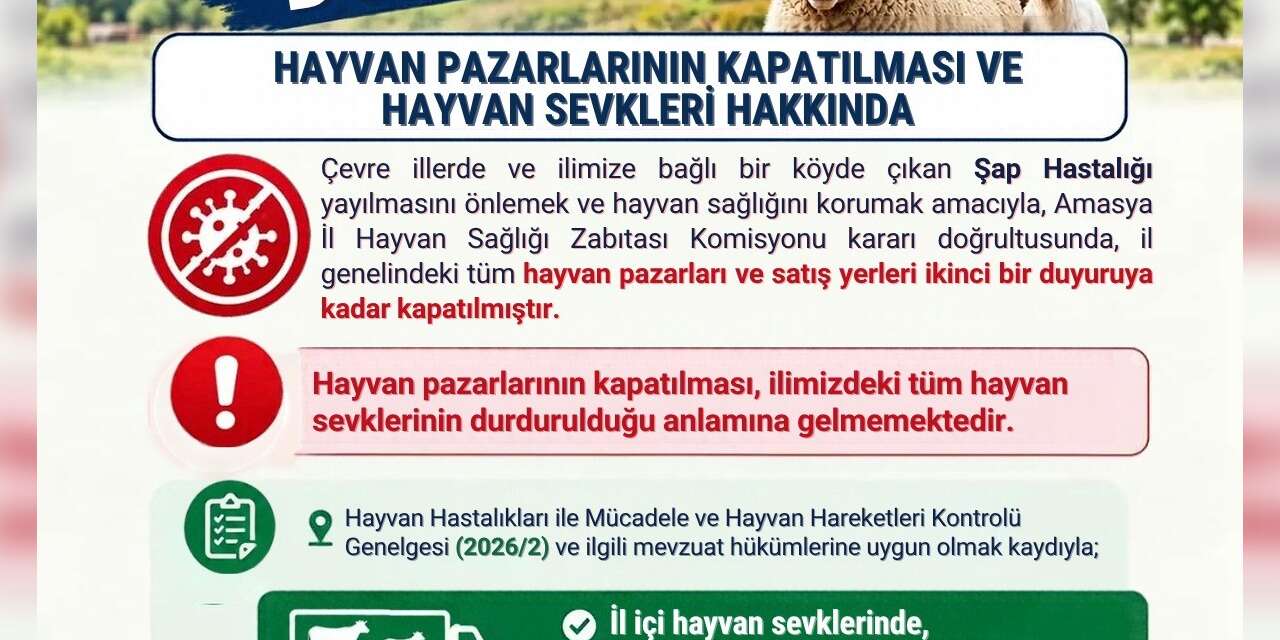 Amasya’da şap hastalığı tedbiri: Hayvan pazarları kapatıldı