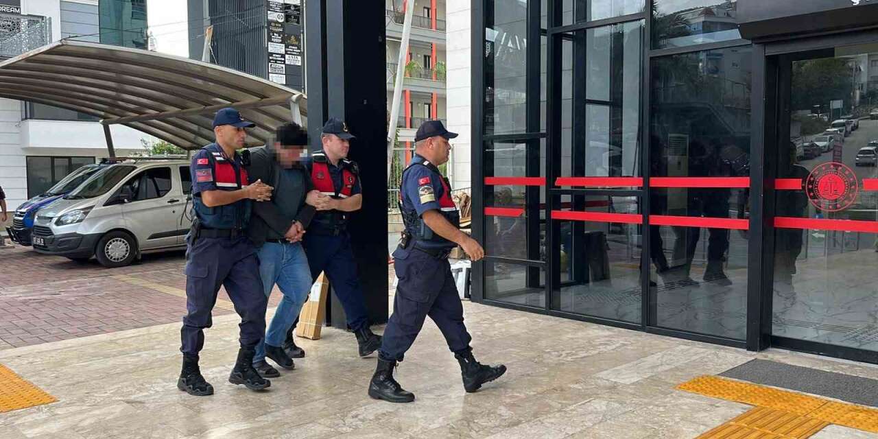 Alanya’da kuşlara vahşet uygulayan şüpheli tutuklandı