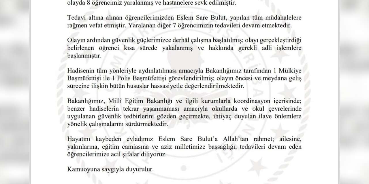 İstanbul’da 1 öğrencinin hayatını kaybettiği olayın şüphelisi yakalandı