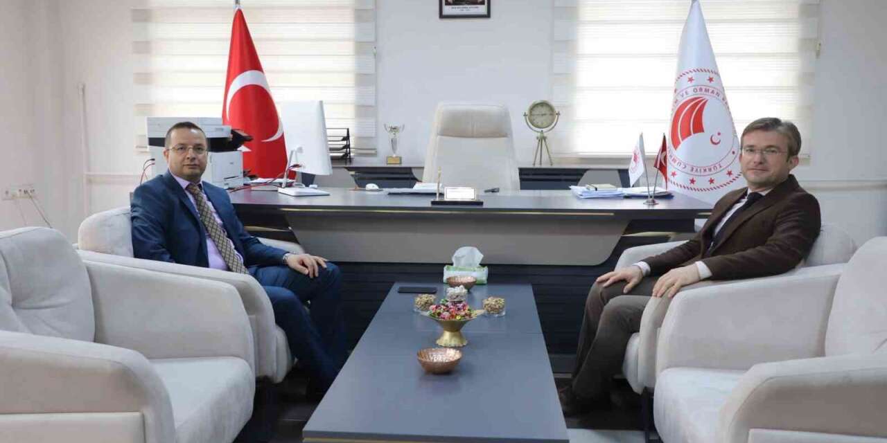 Cizre’de tarım ve hayvancılık çalışmaları ele alındı