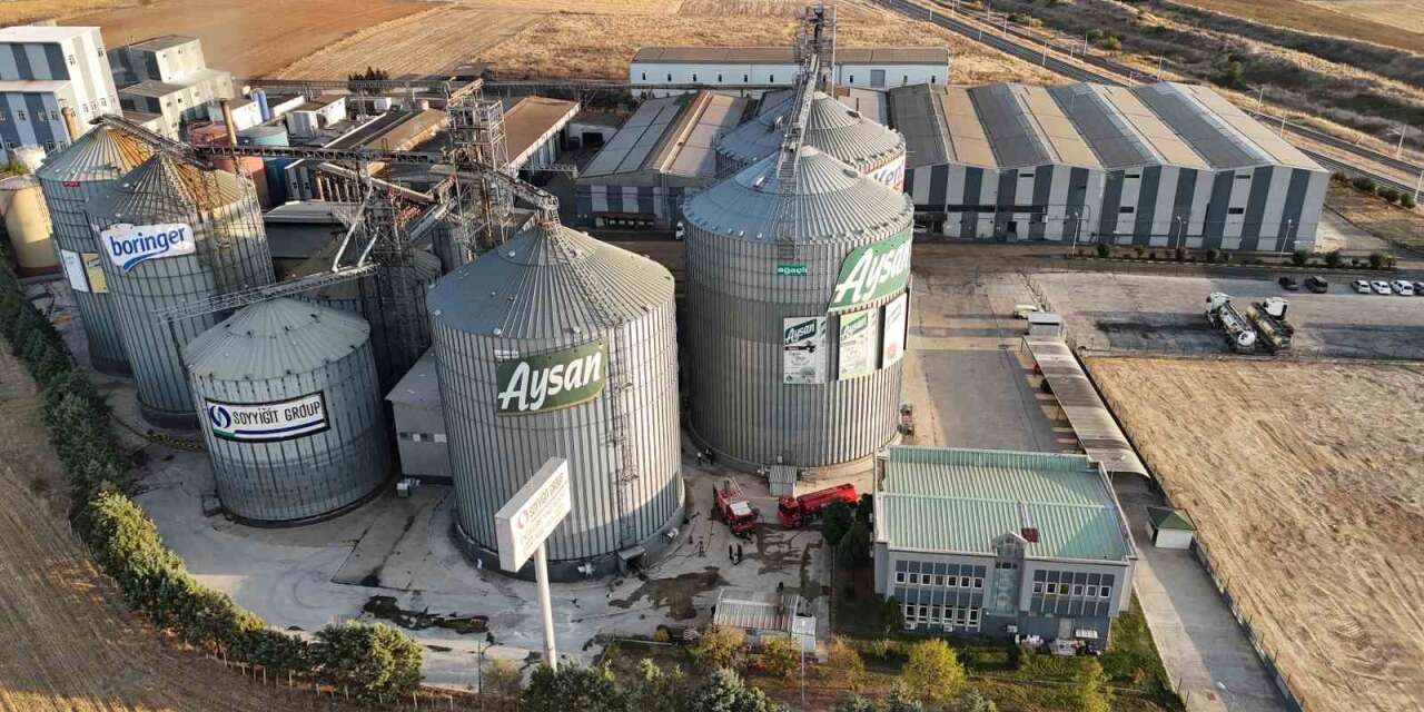 Edirne’de sıvı yağ fabrikasının ayçiçeği çekirdeği silosunda yangın çıktı