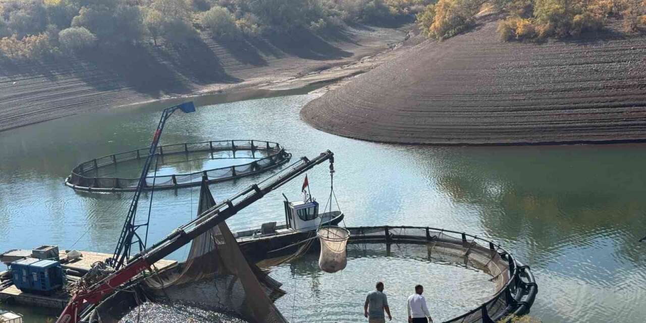 Tercan Baraj Gölü’nde su ürünleri üretimi büyüyor