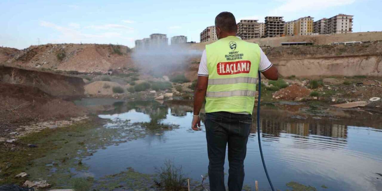 Hatay’da haşere ve vektör mücadelesi sürüyor