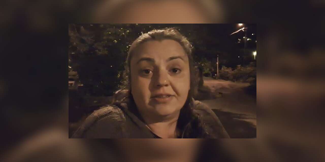 Mahalleye inen ayı, işe giden kadının karşısına çıktı