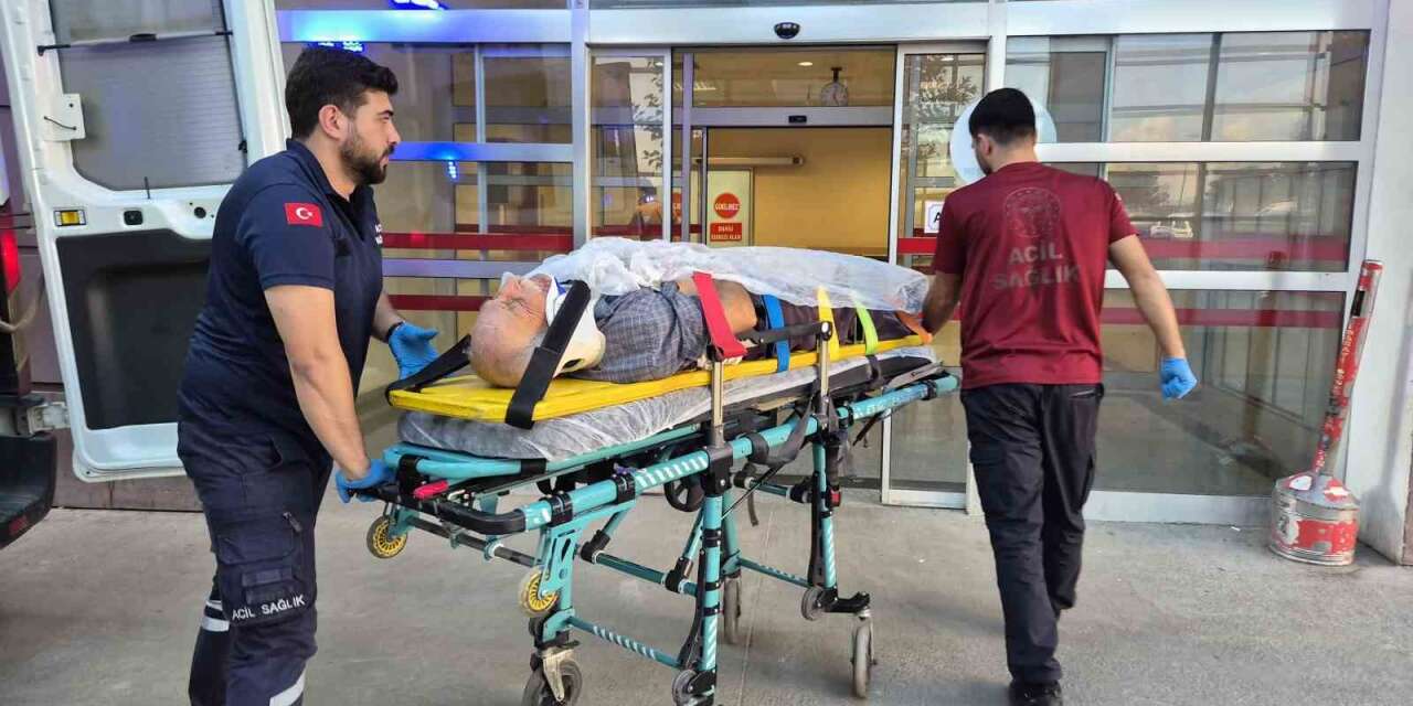 Ağaç keserken düşen yaşlı adam yaralandı