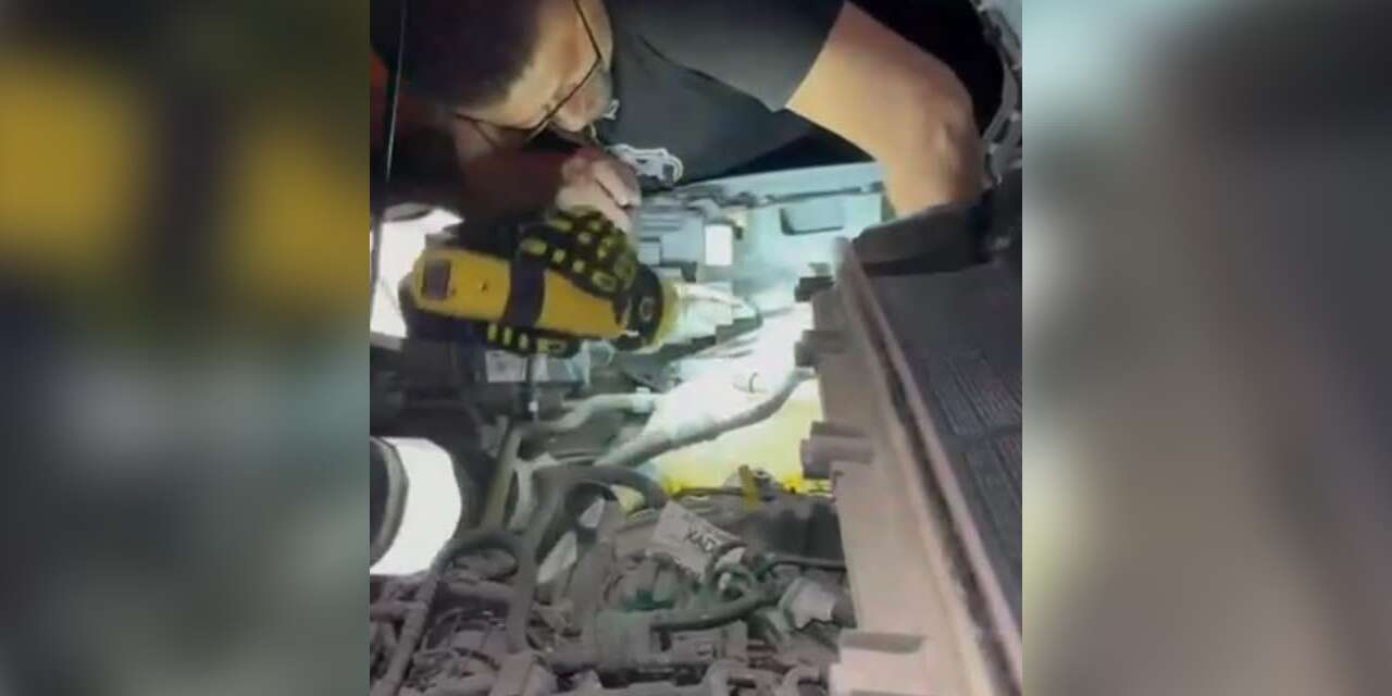 Arsuz’da aracın motoruna sıkışan kedi kurtarıldı