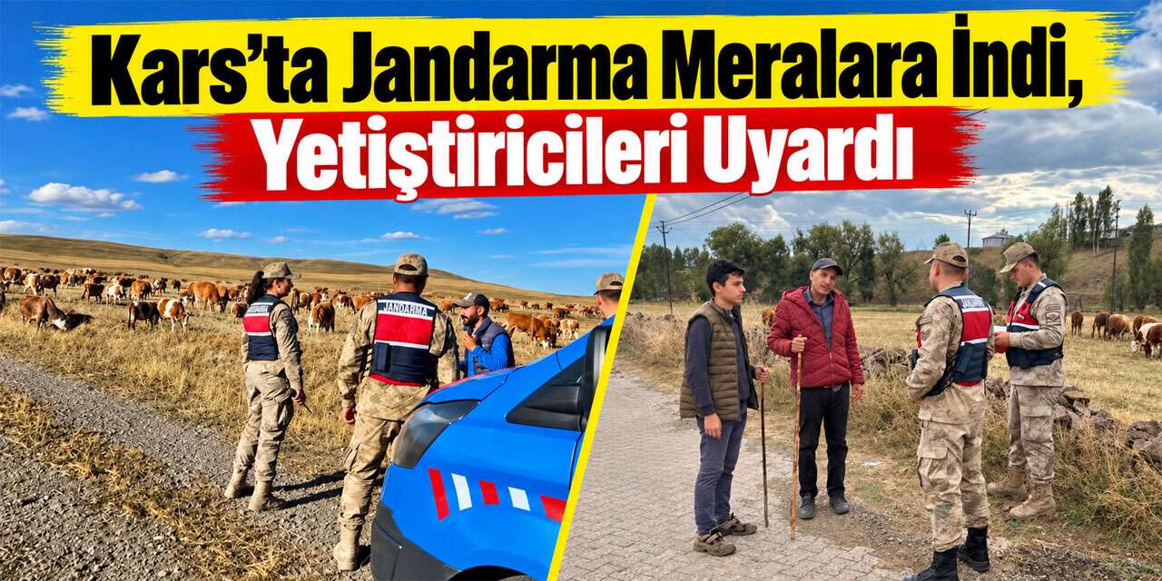Kars’ta Jandarma Meralara İndi, Yetiştiricileri Uyardı