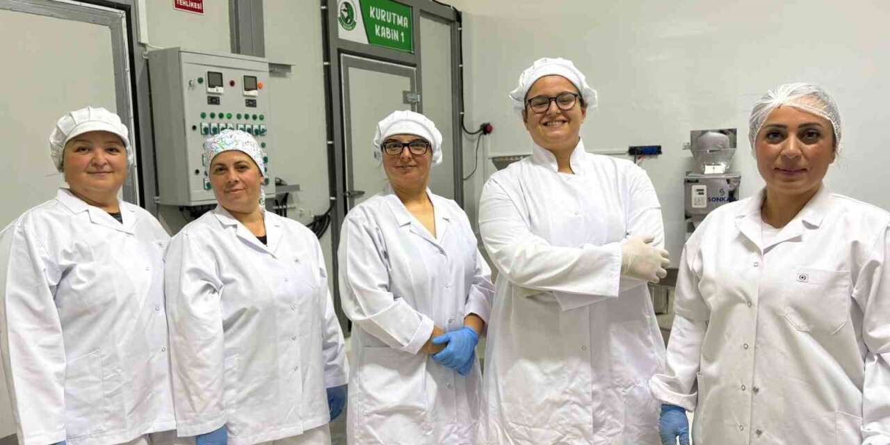 Yeğeninin çorba özlemi kadınlara umut oldu